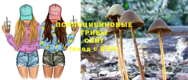 крисы Алексеевка