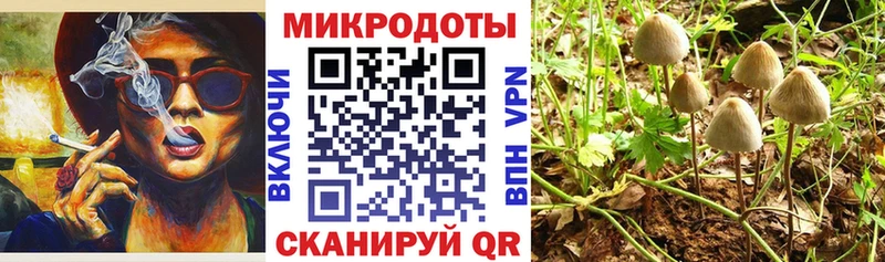 Галлюциногенные грибы мухоморы Находка