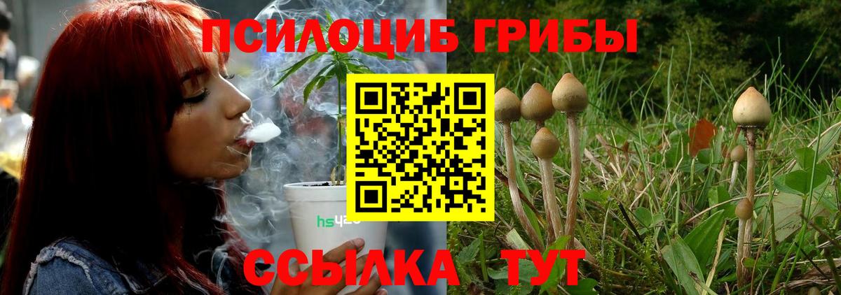 Галлюциногенные грибы Cubensis  Вход с VPN  хочу   Галлюциногенные грибы GOLDEN TEACHER  Находка 