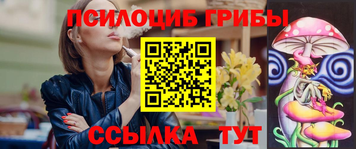 Галлюциногенные грибы Psilocybe Находка